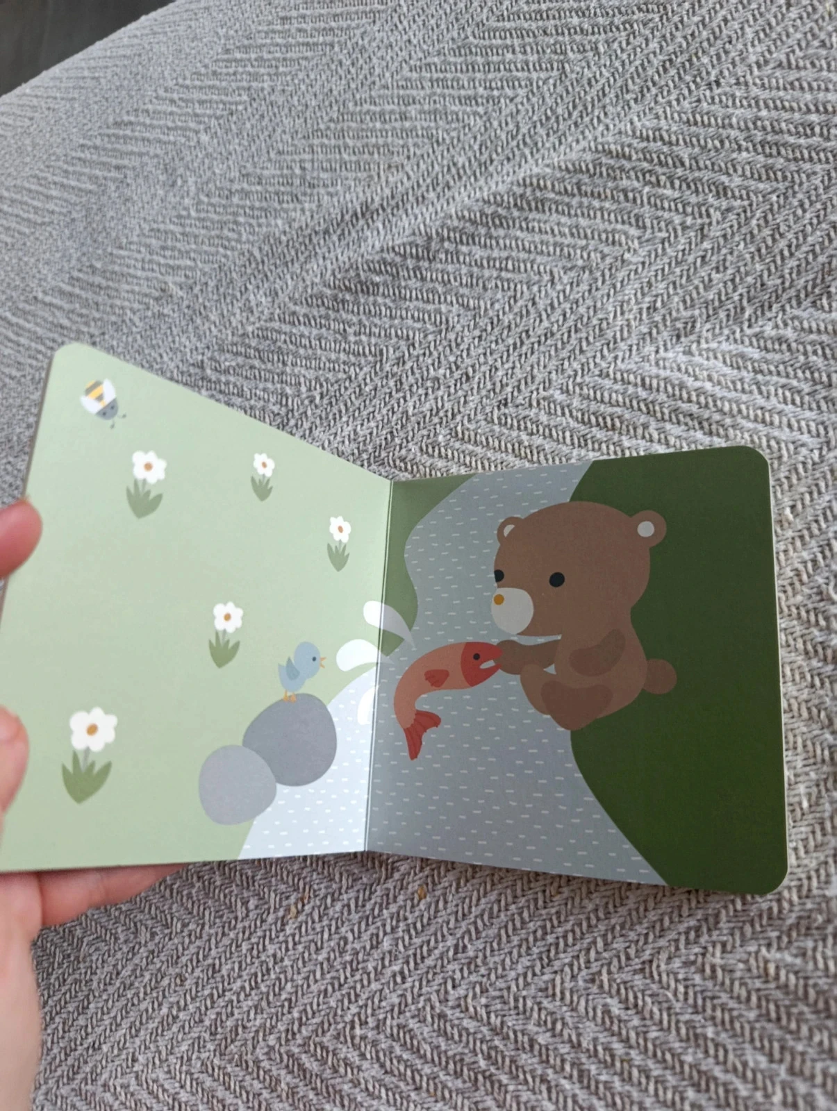 Gekartonneerd babyboek Een dag met Teddybeer en zijn vrienden Franck & Fischer – photo 3